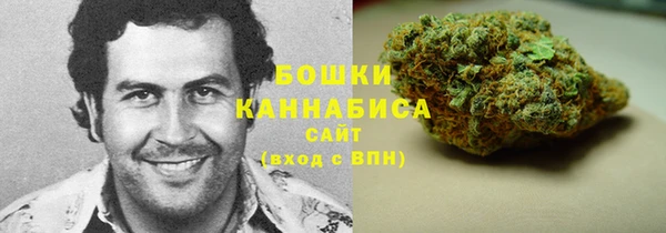 индика Краснослободск