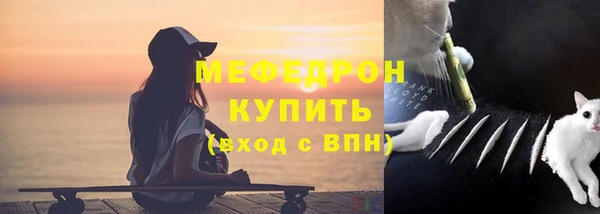 индика Краснослободск