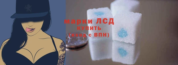 шишки Краснотурьинск