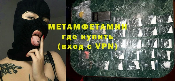 индика Краснослободск