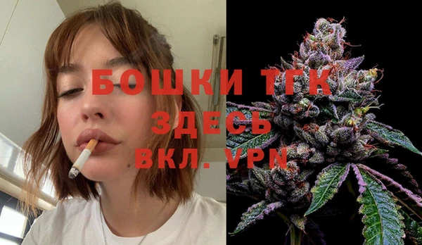 индика Краснослободск