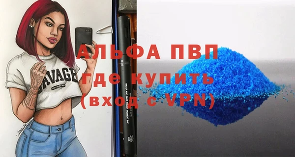 индика Краснослободск