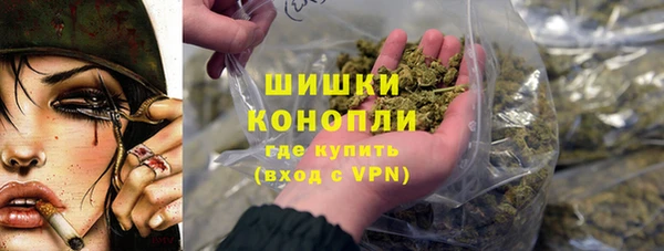 шишки Краснотурьинск